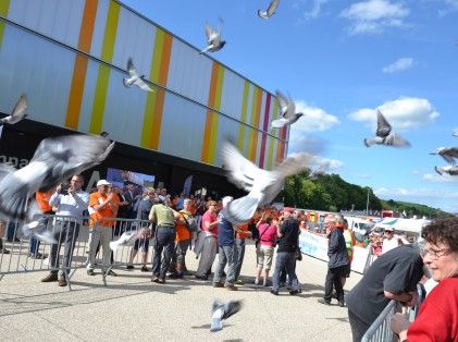 Malaunay-rando-departementale-21mai17-3